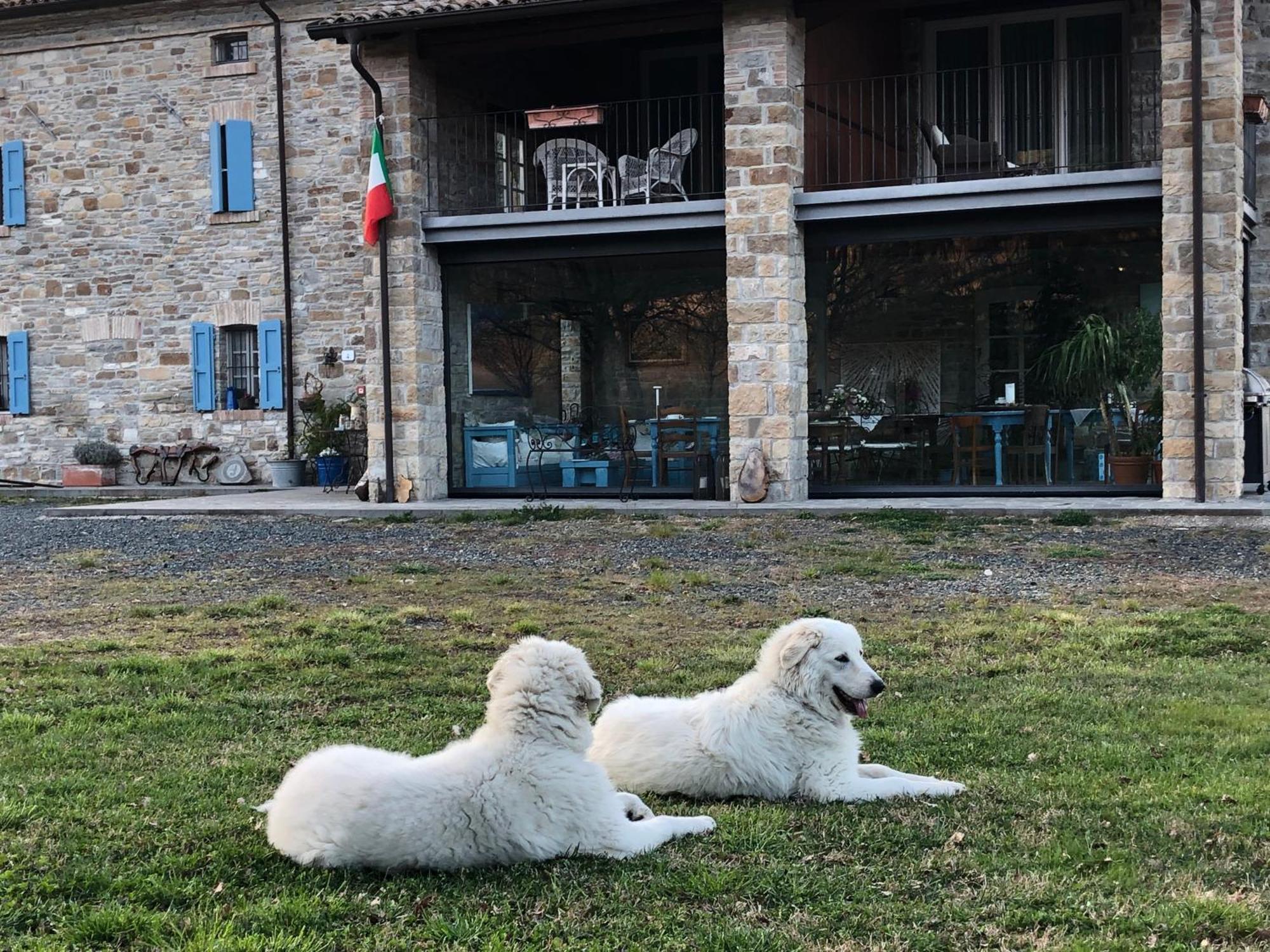 La Locanda Nel Vento Calestano Exterior photo